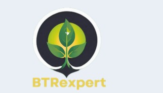 BTRExpert Logo